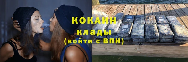 дживик Абаза