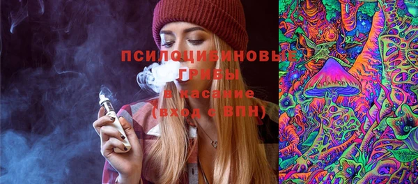 ГАЛЛЮЦИНОГЕННЫЕ ГРИБЫ Абдулино