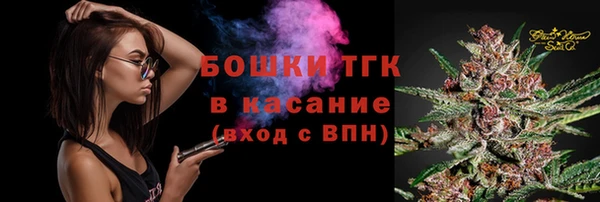 дживик Абаза
