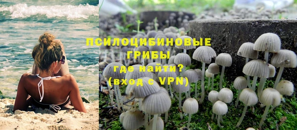 ГАЛЛЮЦИНОГЕННЫЕ ГРИБЫ Абдулино