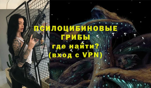 ГАЛЛЮЦИНОГЕННЫЕ ГРИБЫ Абдулино