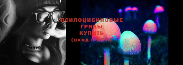 дживик Абаза