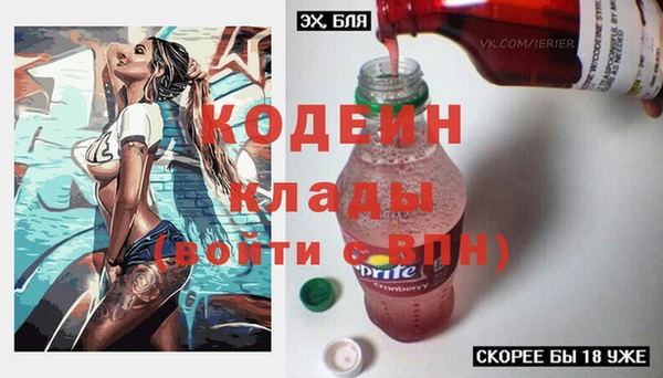 дживик Абаза