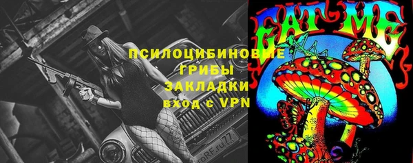 apvp Алексин
