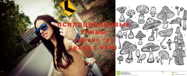 кокс Алзамай
