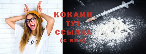 дмт Заволжск